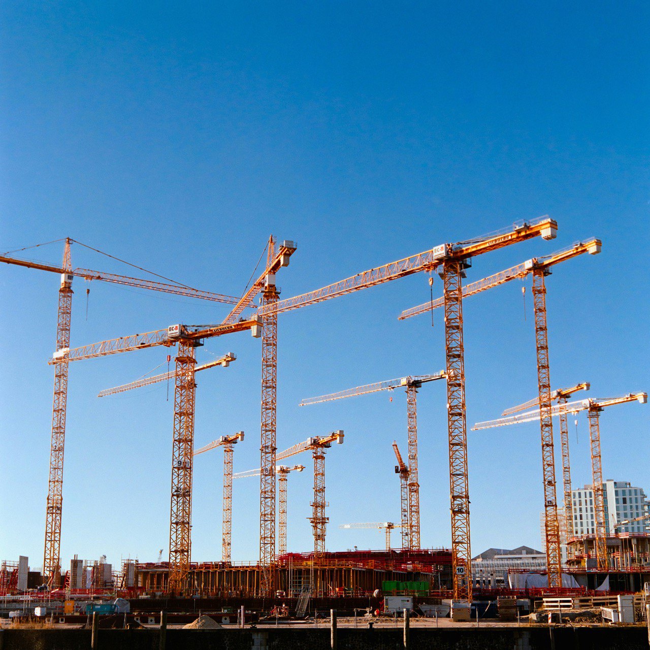 A row of tower cranes over a large construction site against a clear sky